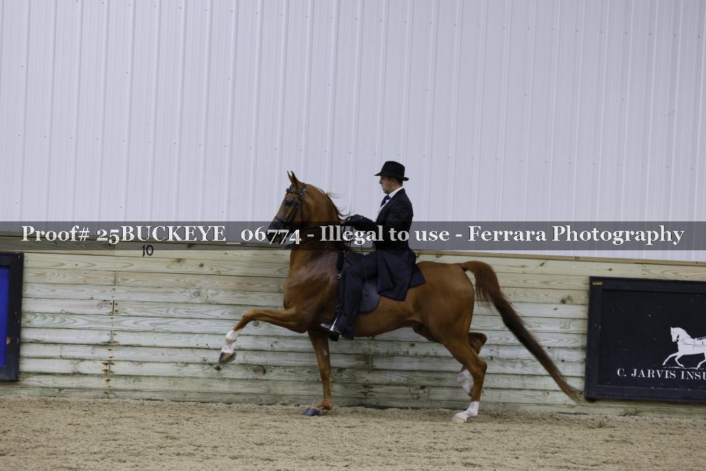 Proof Number 25BUCKEYE_06774