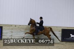 25BUCKEYE_06774 thumbnail
