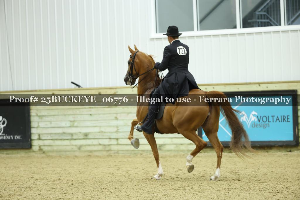 Proof Number 25BUCKEYE_06776
