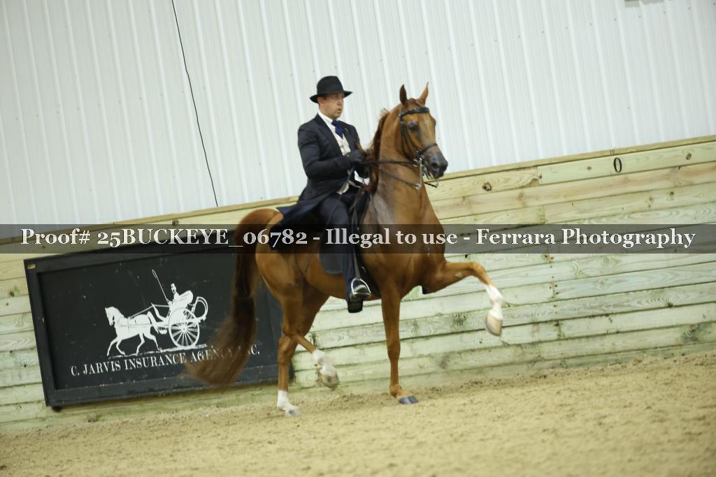 Proof Number 25BUCKEYE_06782