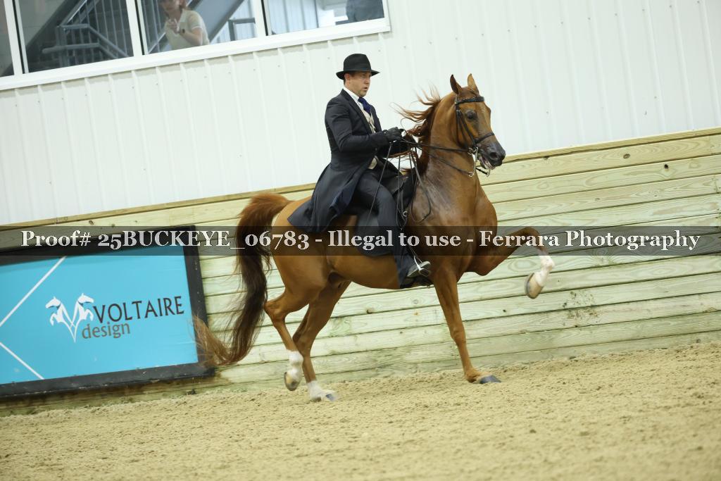Proof Number 25BUCKEYE_06783