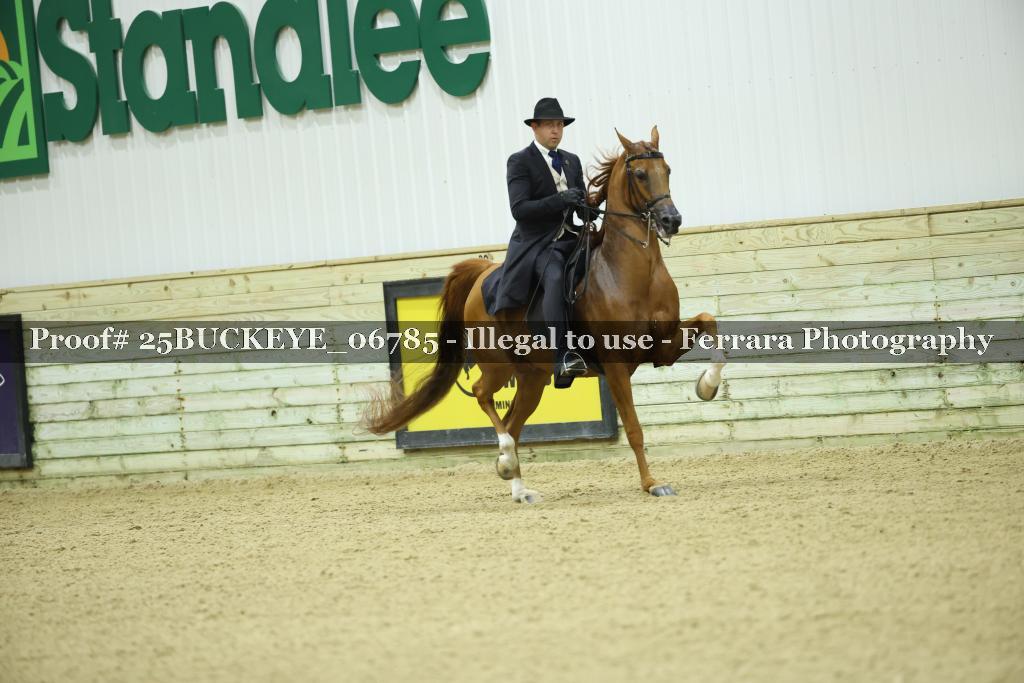 Proof Number 25BUCKEYE_06785
