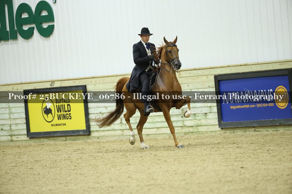 Proof Number 25BUCKEYE_06786