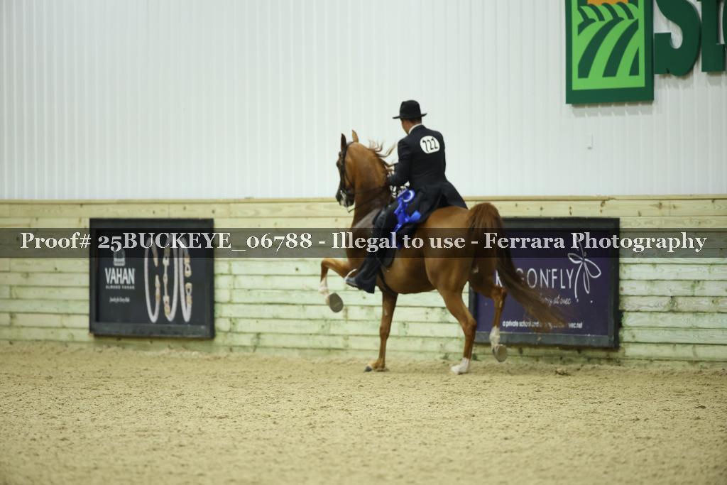 Proof Number 25BUCKEYE_06788