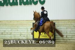 25BUCKEYE_06789 thumbnail