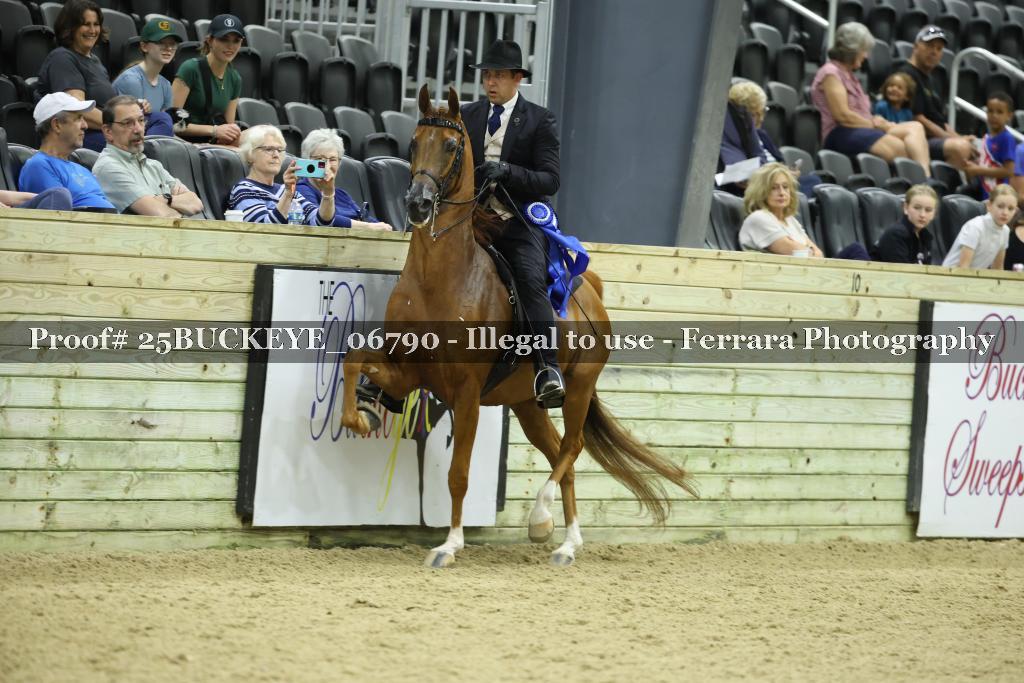 Proof Number 25BUCKEYE_06790