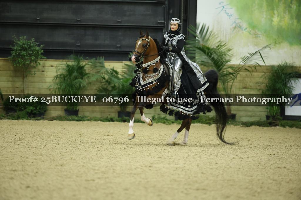 Proof Number 25BUCKEYE_06796