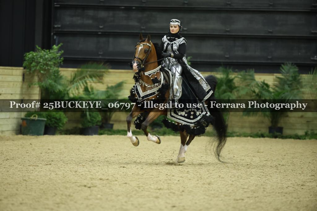 Proof Number 25BUCKEYE_06797