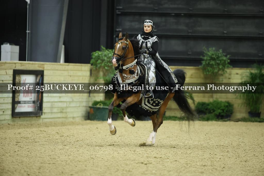 Proof Number 25BUCKEYE_06798