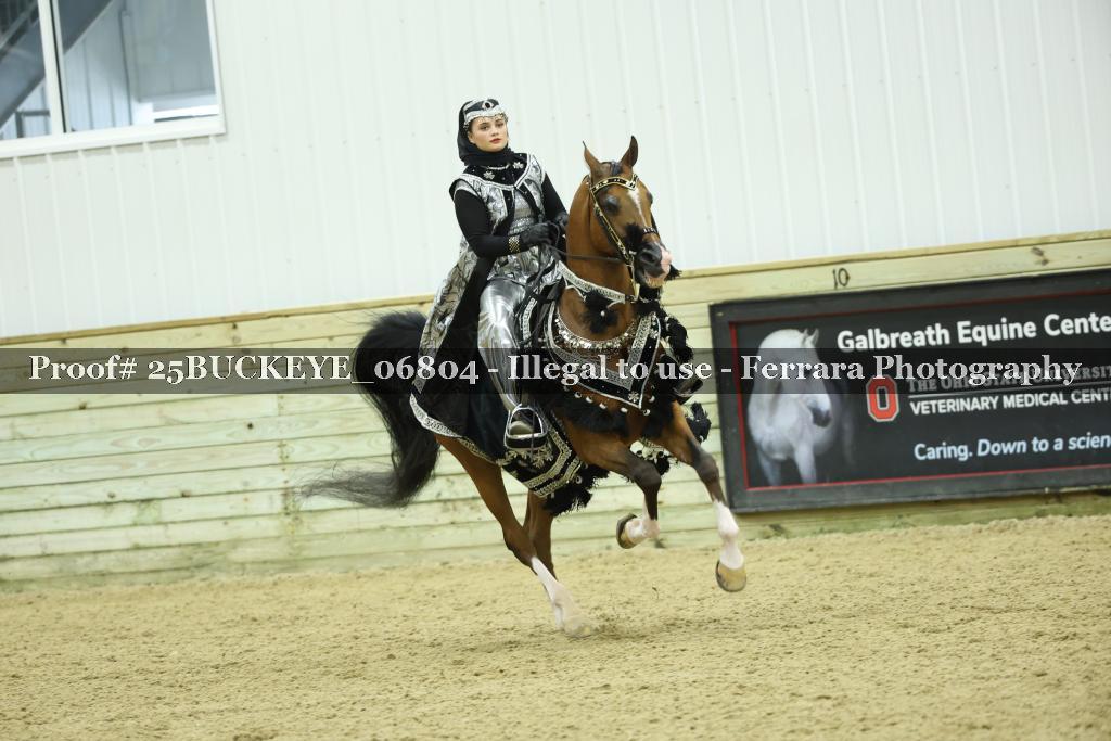 Proof Number 25BUCKEYE_06804