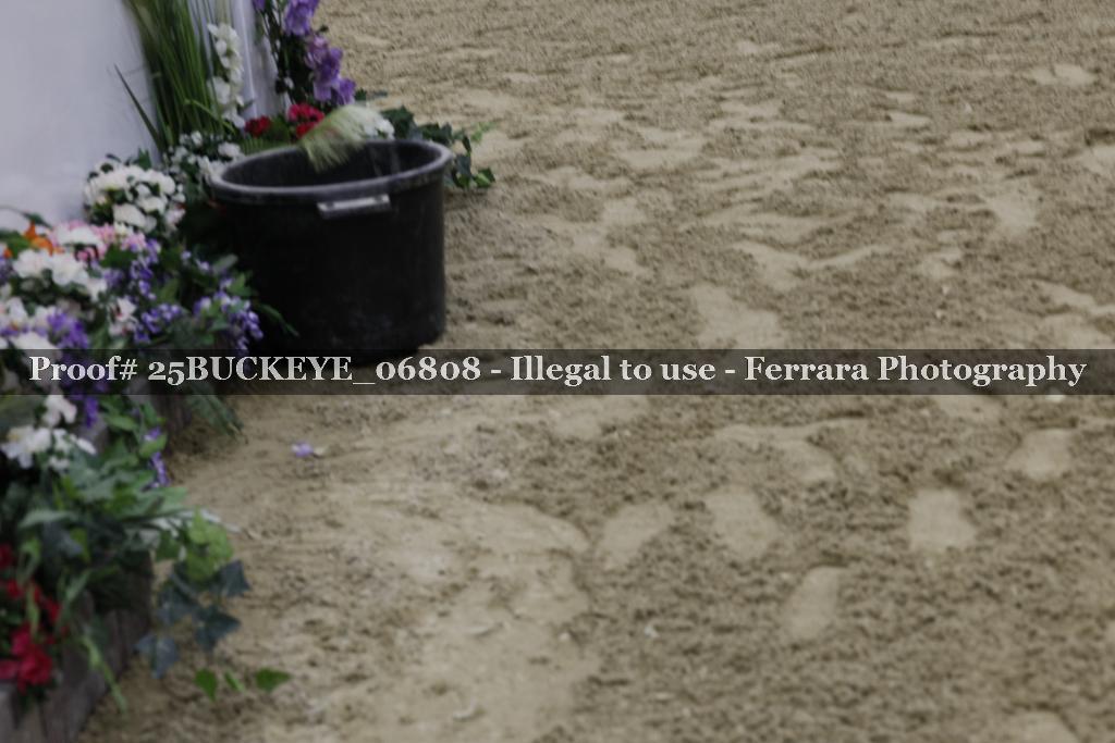 Proof Number 25BUCKEYE_06808