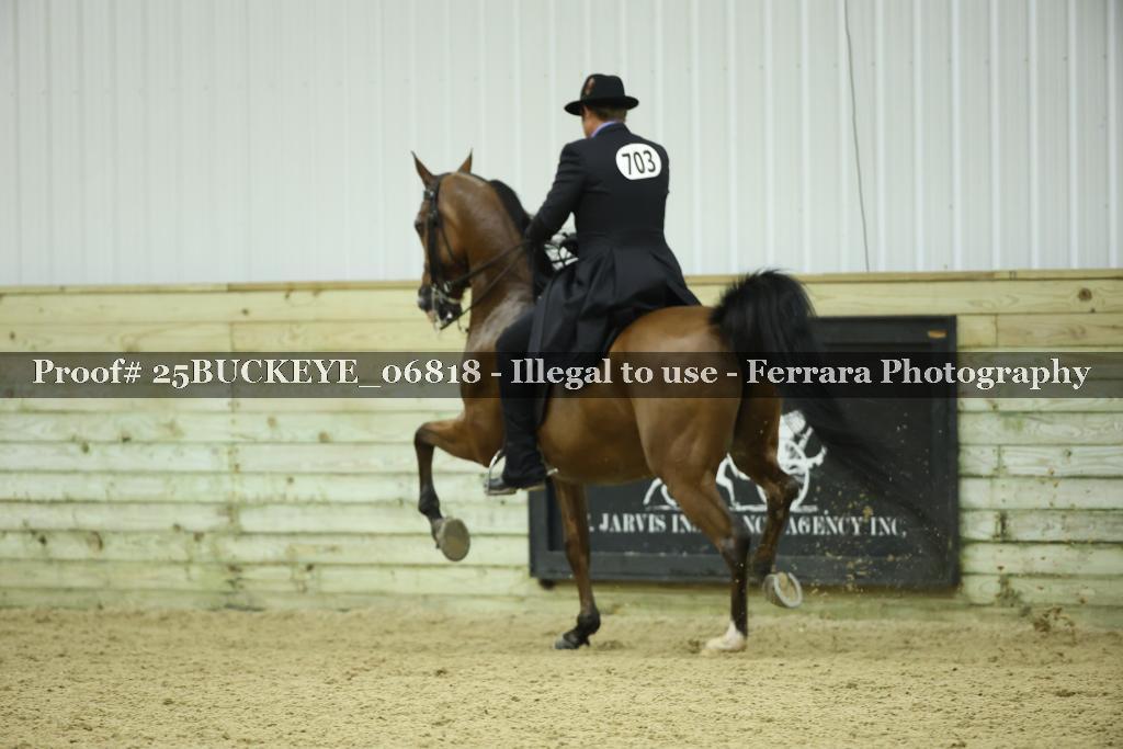 Proof Number 25BUCKEYE_06818