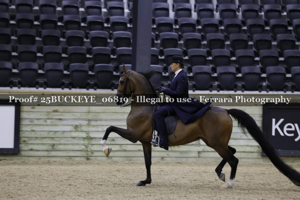 Proof Number 25BUCKEYE_06819