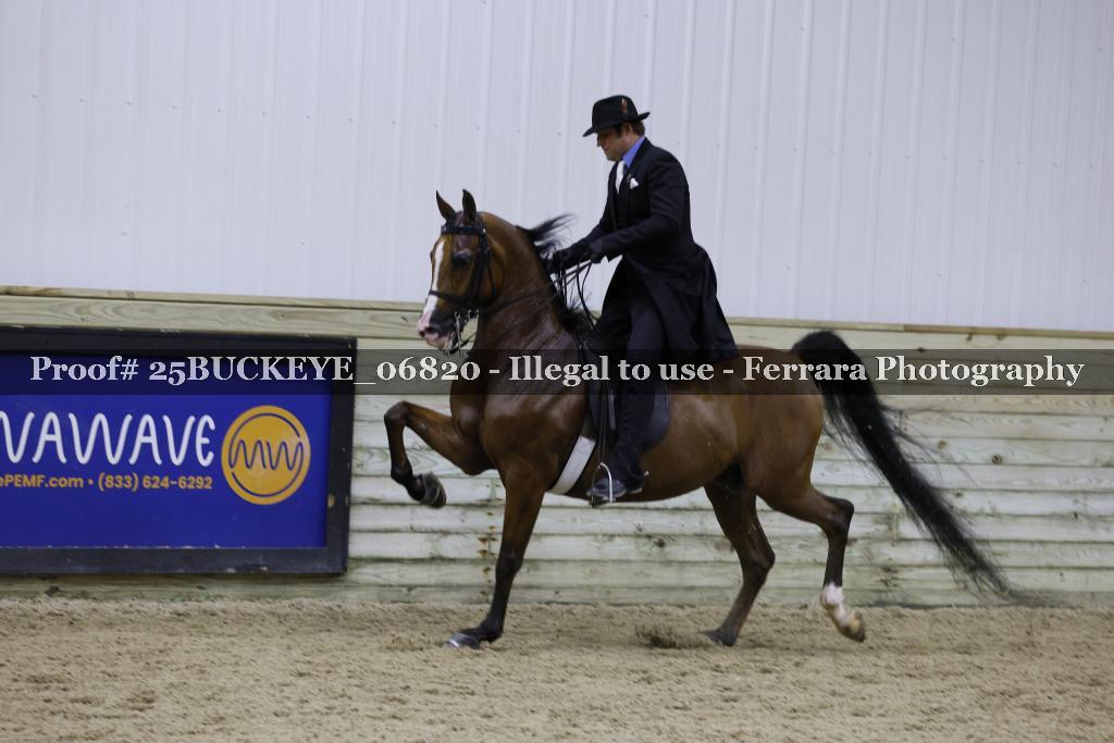 Proof Number 25BUCKEYE_06820