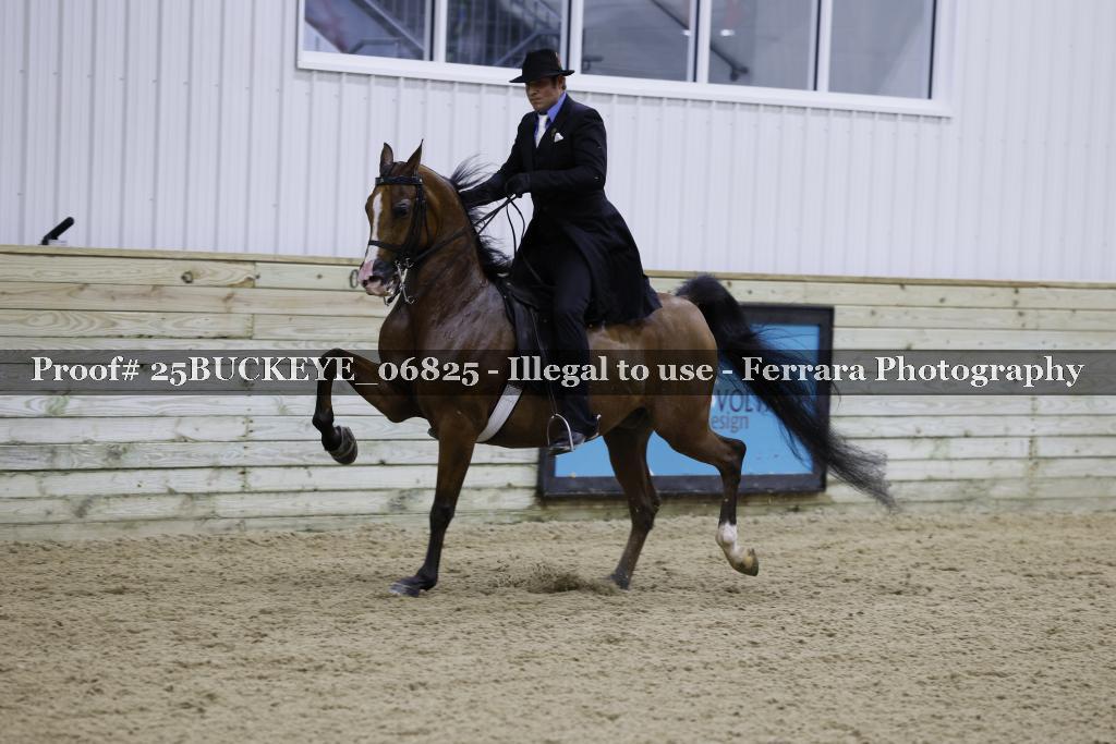 Proof Number 25BUCKEYE_06825
