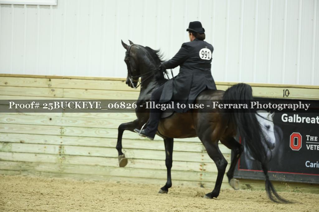 Proof Number 25BUCKEYE_06826