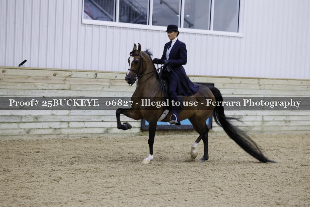 Proof Number 25BUCKEYE_06827