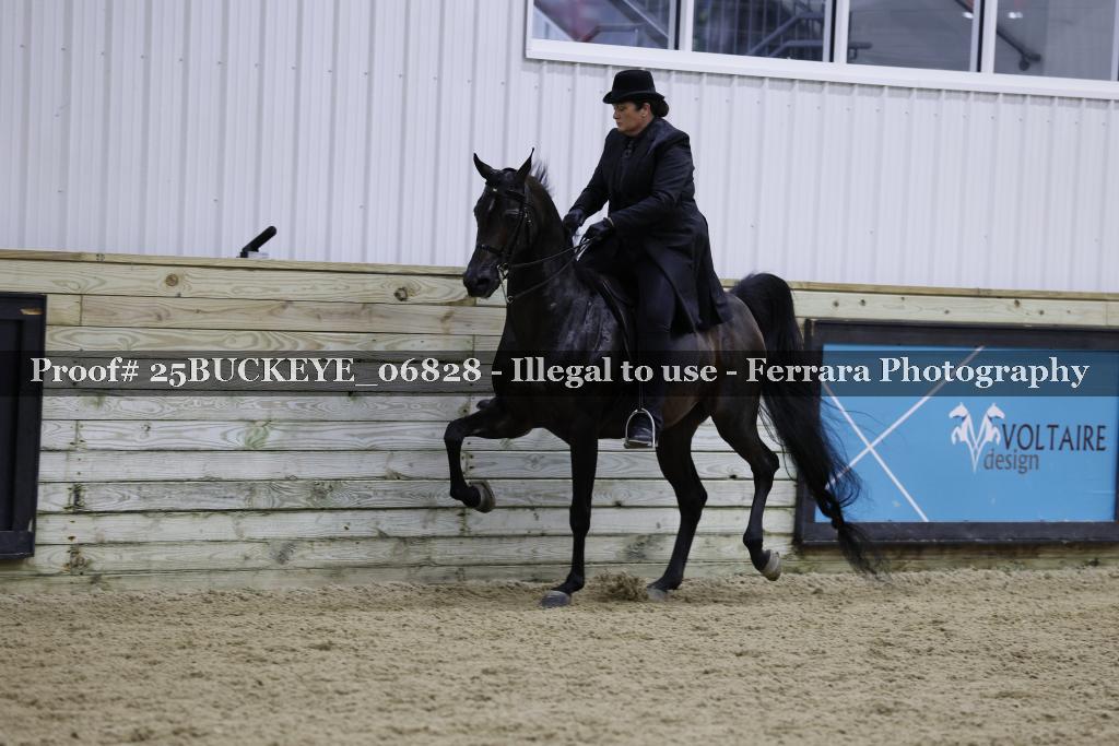 Proof Number 25BUCKEYE_06828
