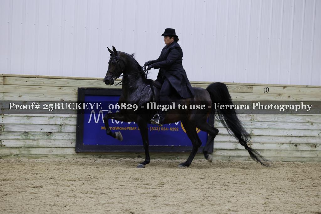 Proof Number 25BUCKEYE_06829