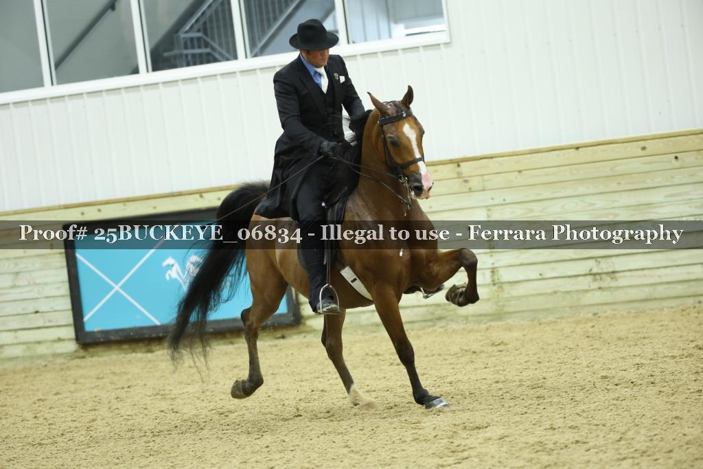 Proof Number 25BUCKEYE_06834