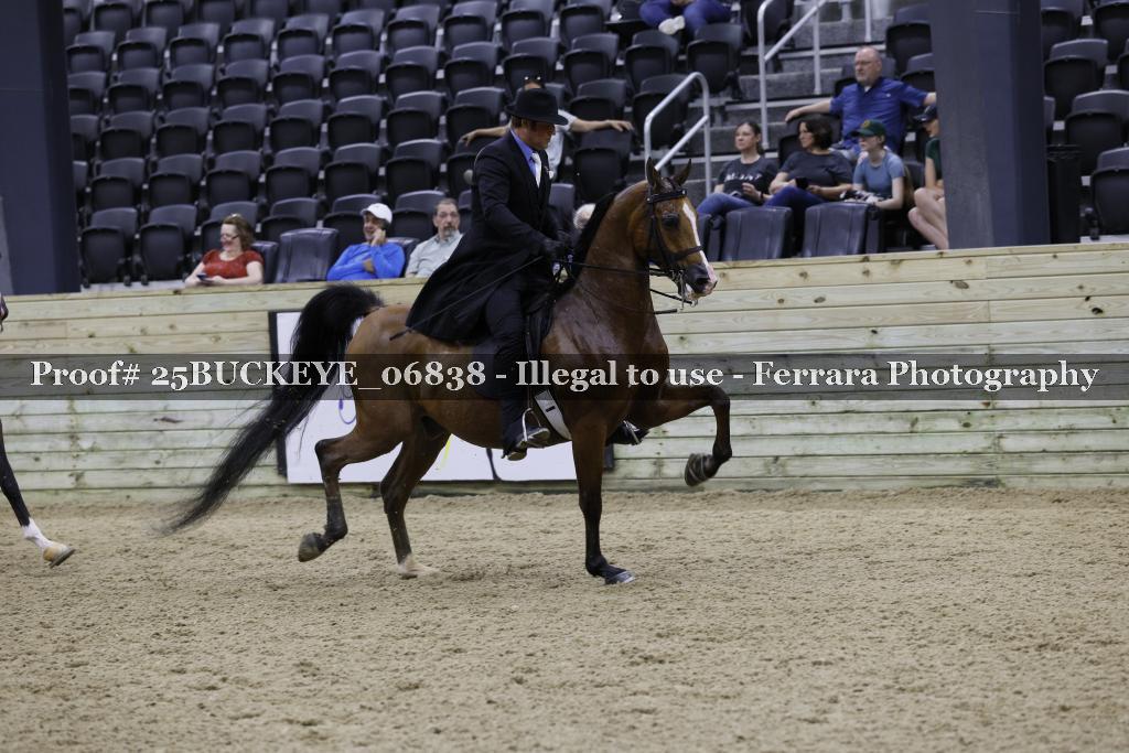 Proof Number 25BUCKEYE_06838