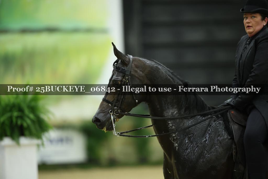 Proof Number 25BUCKEYE_06842