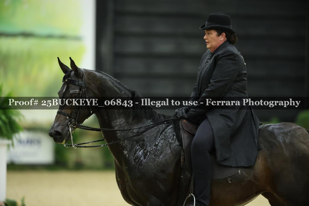 Proof Number 25BUCKEYE_06843