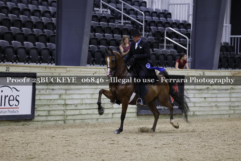 Proof Number 25BUCKEYE_06846