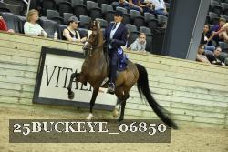 25BUCKEYE_06850 thumbnail