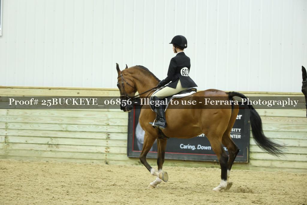 Proof Number 25BUCKEYE_06856