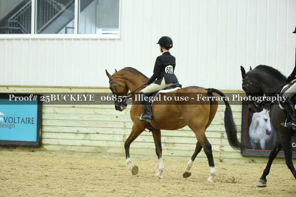 Proof Number 25BUCKEYE_06857