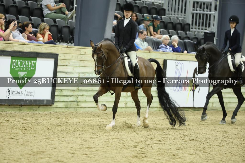 Proof Number 25BUCKEYE_06861