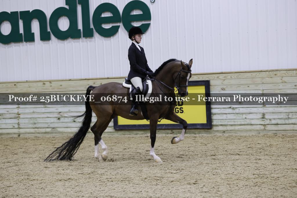 Proof Number 25BUCKEYE_06874