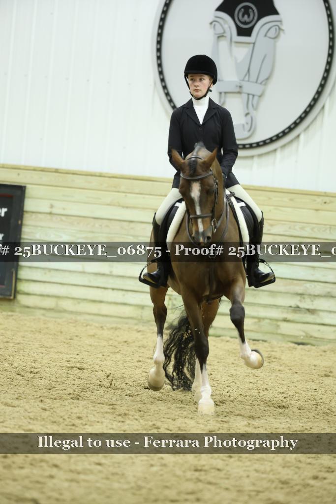 Proof Number 25BUCKEYE_06875