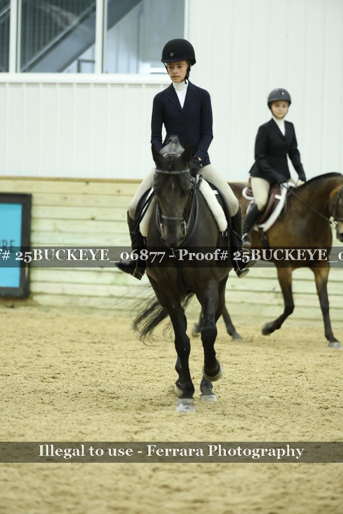 Proof Number 25BUCKEYE_06877