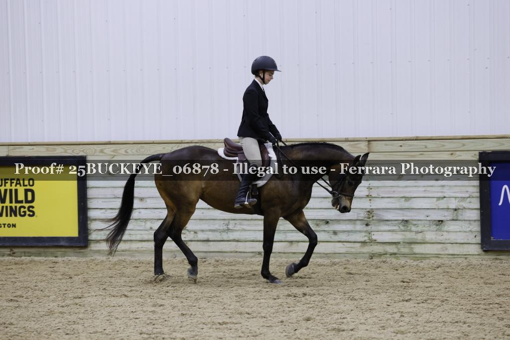 Proof Number 25BUCKEYE_06878