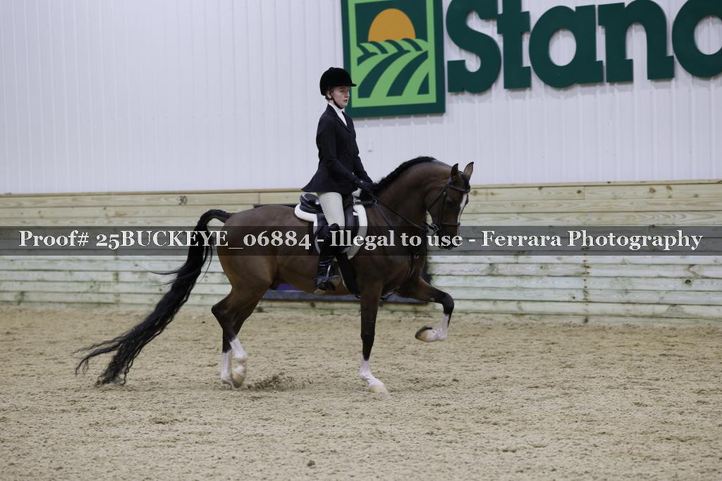 Proof Number 25BUCKEYE_06884
