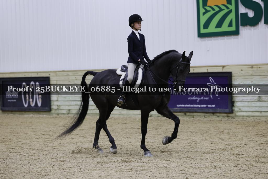 Proof Number 25BUCKEYE_06885