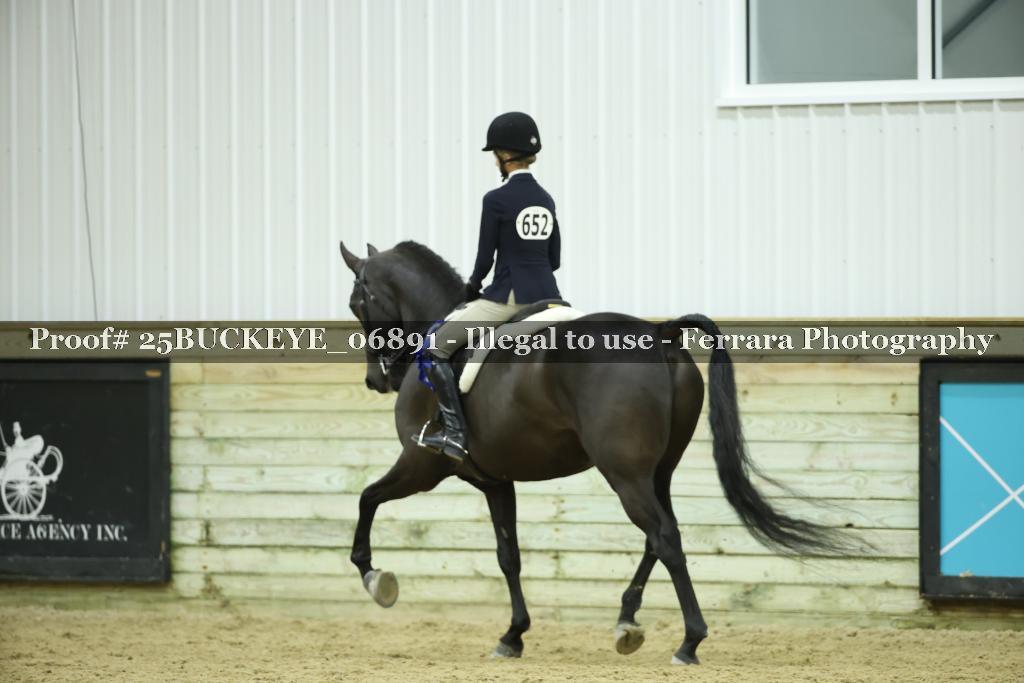 Proof Number 25BUCKEYE_06891
