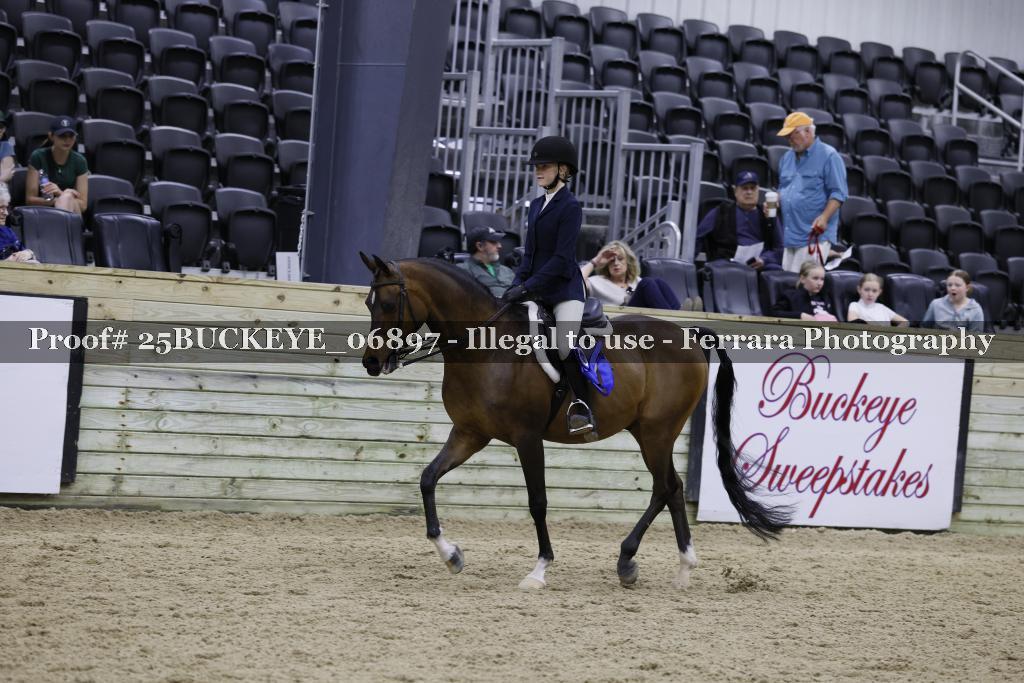 Proof Number 25BUCKEYE_06897