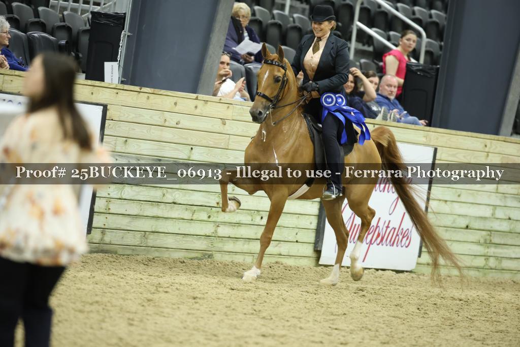 Proof Number 25BUCKEYE_06913