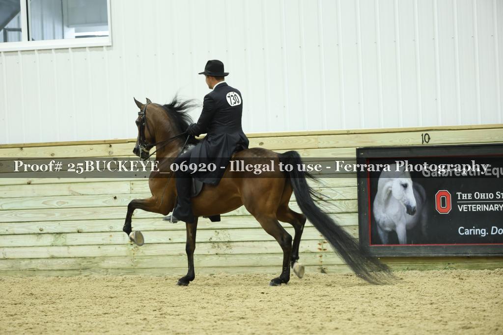 Proof Number 25BUCKEYE_06920