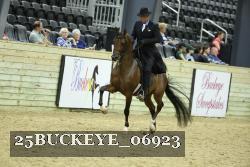 25BUCKEYE_06923 thumbnail