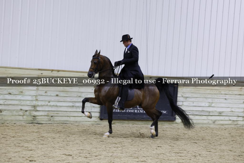 Proof Number 25BUCKEYE_06932