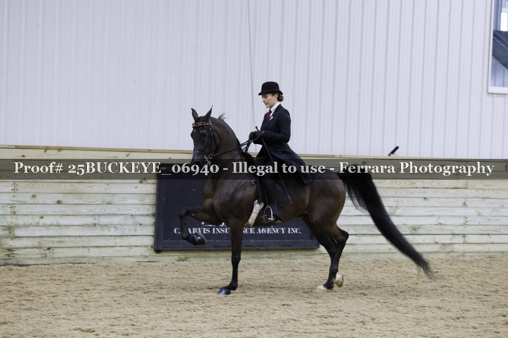 Proof Number 25BUCKEYE_06940