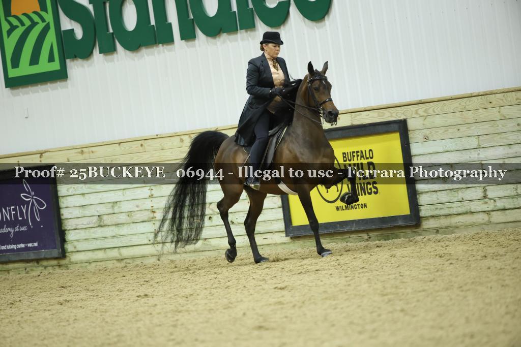 Proof Number 25BUCKEYE_06944