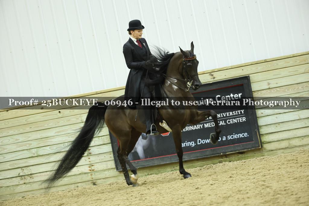 Proof Number 25BUCKEYE_06946