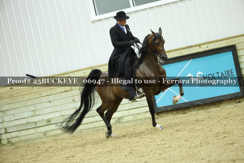 Proof Number 25BUCKEYE_06947