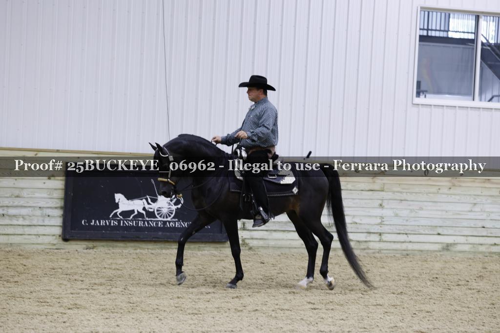 Proof Number 25BUCKEYE_06962