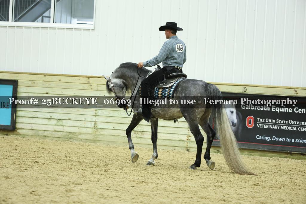 Proof Number 25BUCKEYE_06963